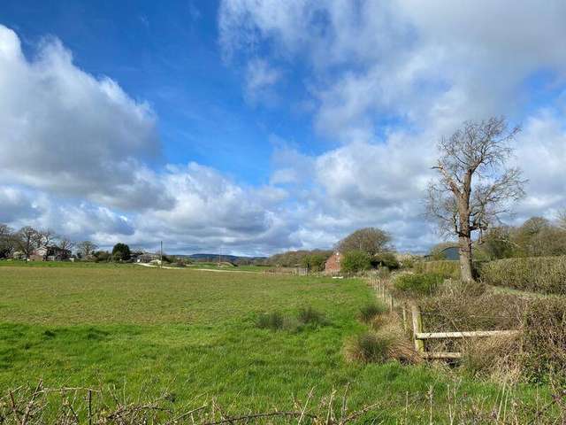 Land For Rent in Mole Valley, England