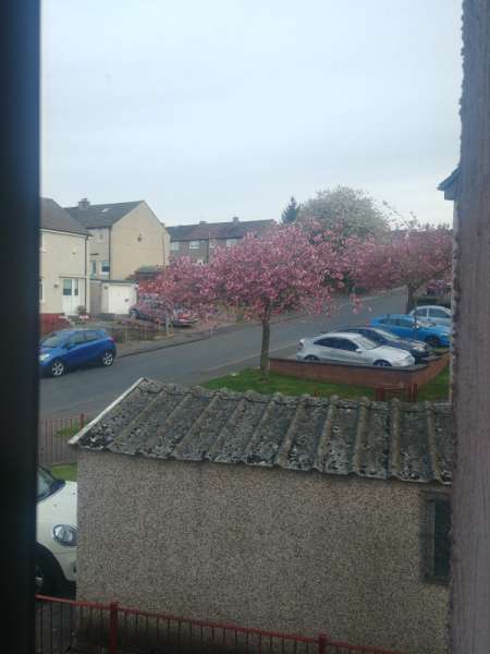 Flat For Rent in Wishaw, Scotland