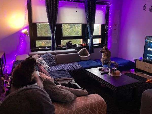 House For Rent in Blantyre, Scotland