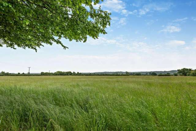 Farm land for sale