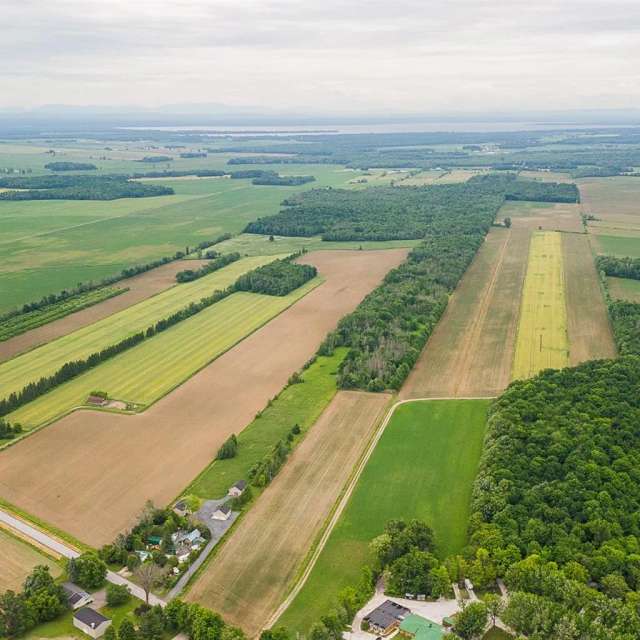 Hobby farm for sale