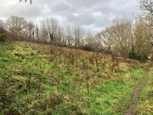 Amenity Woodland, Milford Lane, Plymouth | Property for sale | Savills