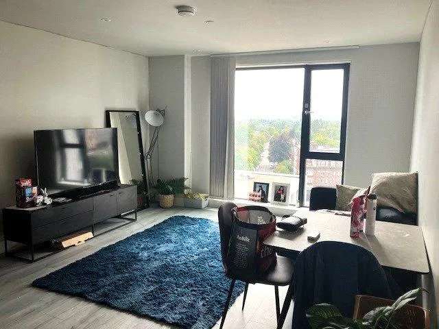 1 bedroom apartment to rent