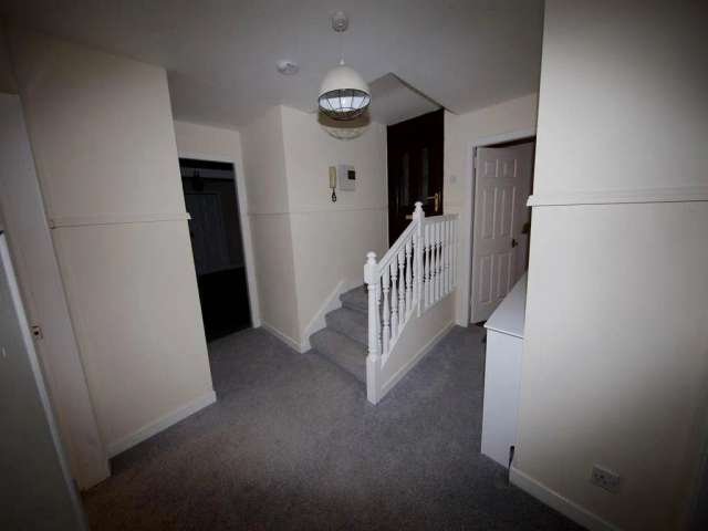 3 bedroom flat to rent